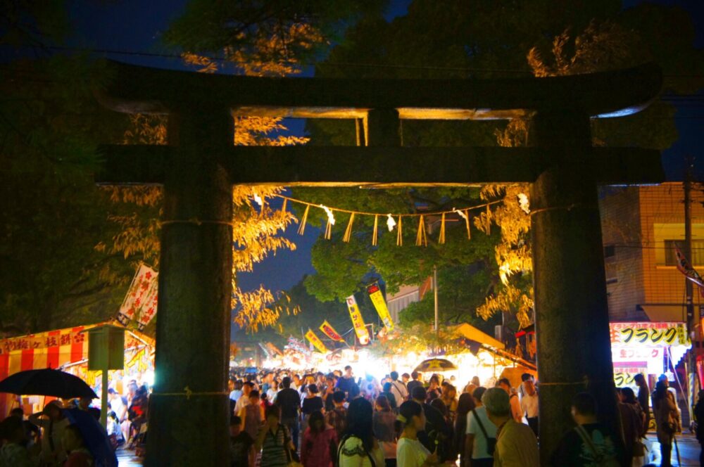 Scenes from the bustling Hojoya festival.