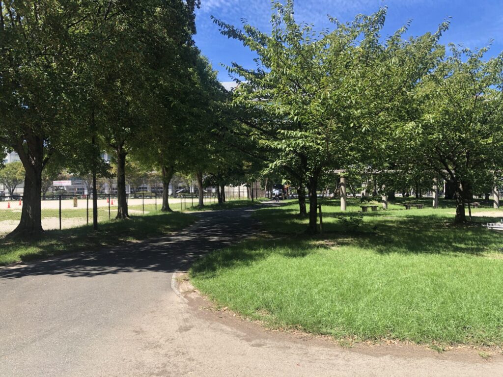 There’s a lush green park right in front of the café.