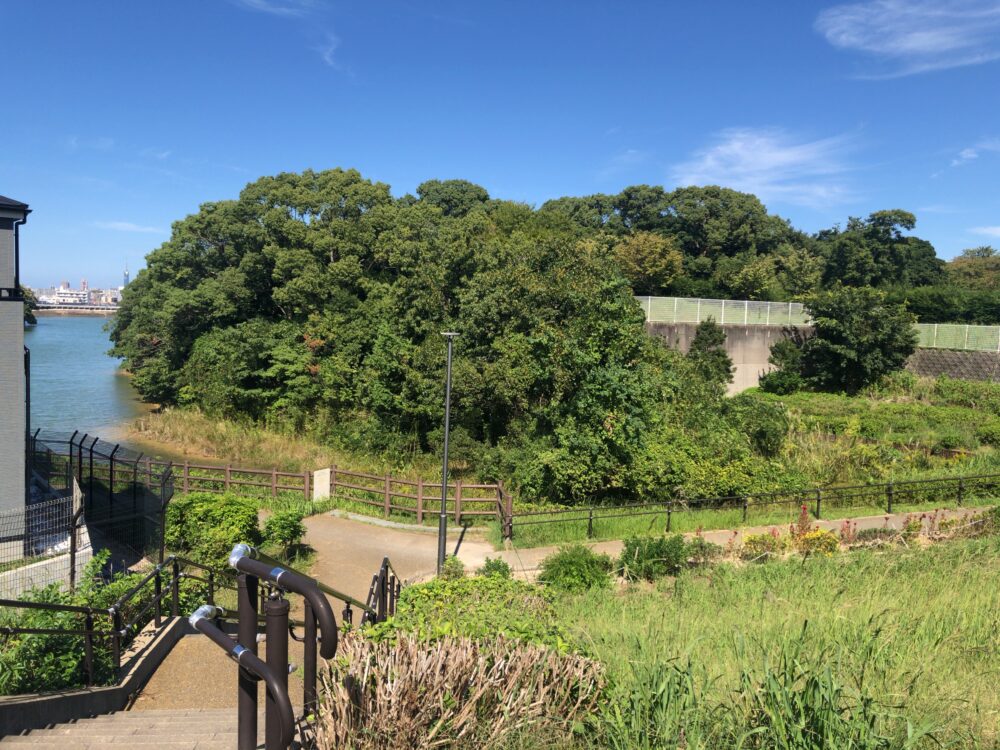 Seinan Mori no Kohan Park with Fukuoka Tower visible in the distance.