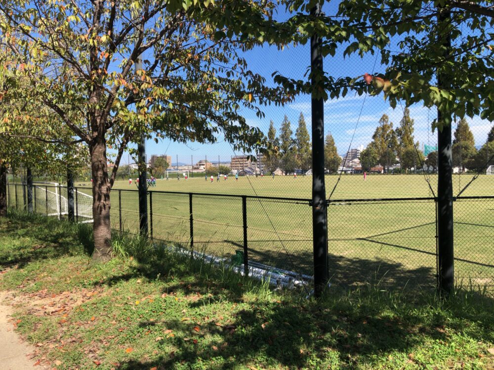 Soccer field