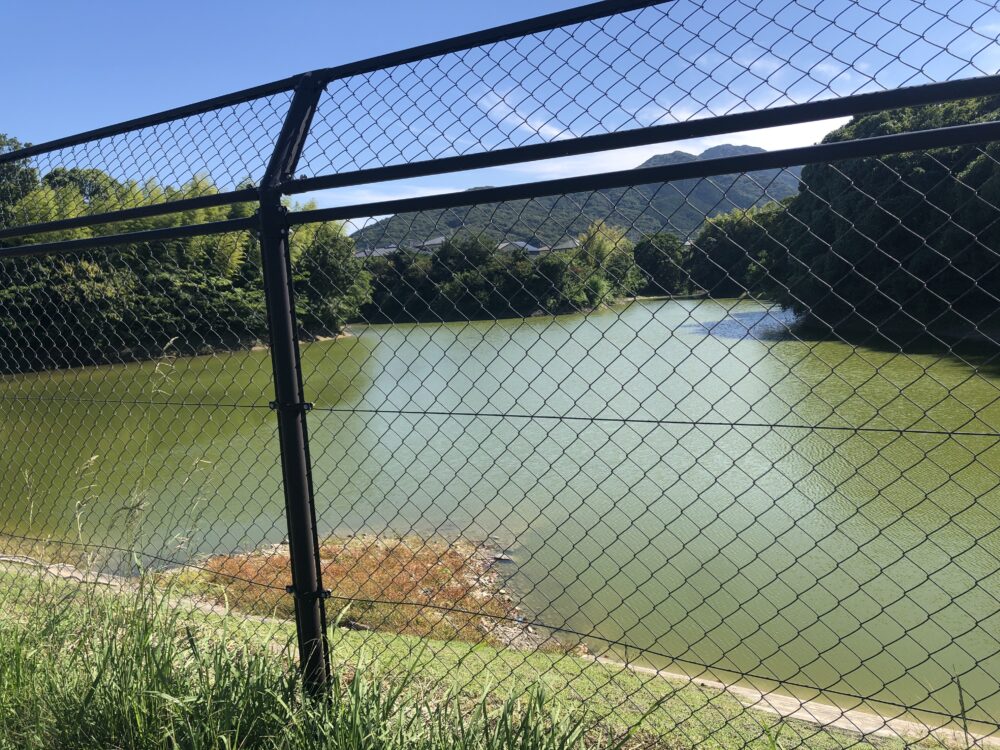 Kumamoto Pond