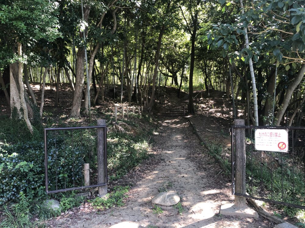 Entrance to the Bamboo Grove Area