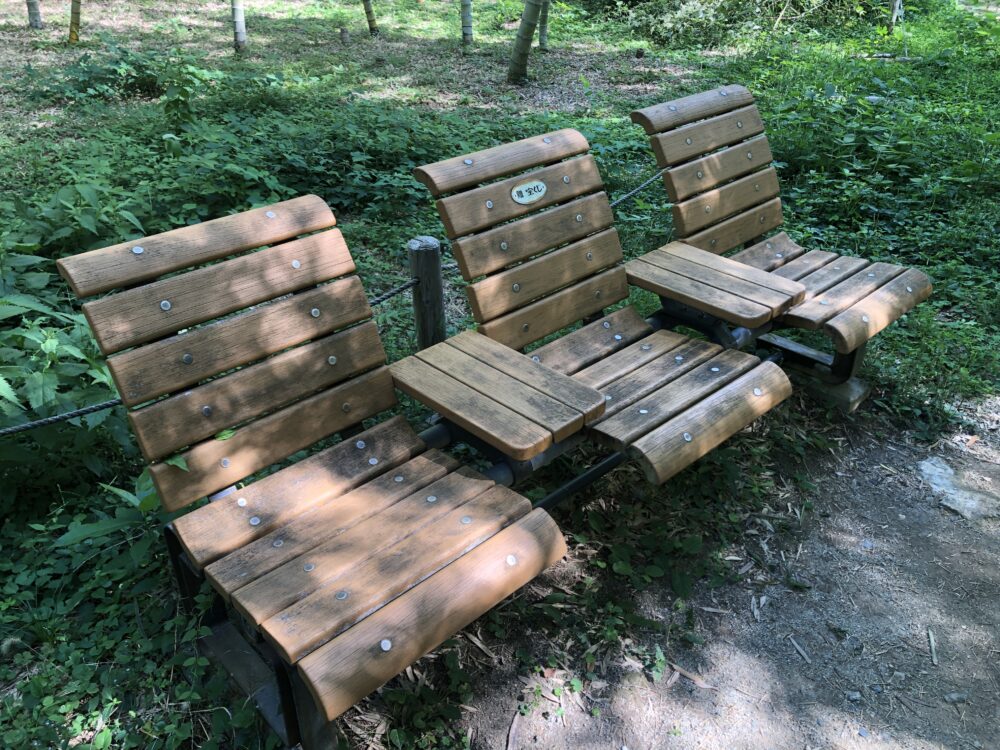 Bench in the Bamboo Grove Area