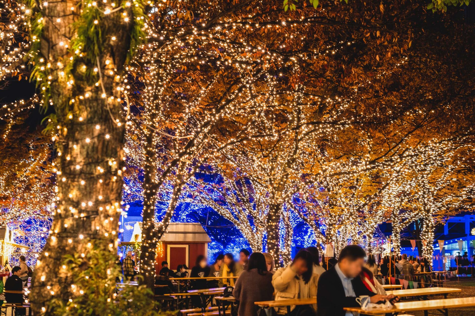 Christmas Market at Tenjin Central Park - Forest of Lights