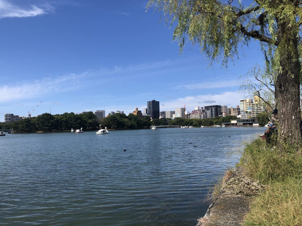 Ohori Park and Swan Boat