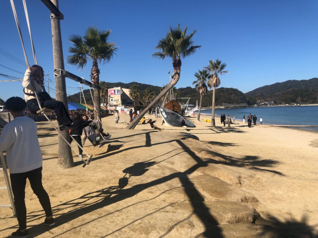 Palm Tree Swing at Odahama Beach