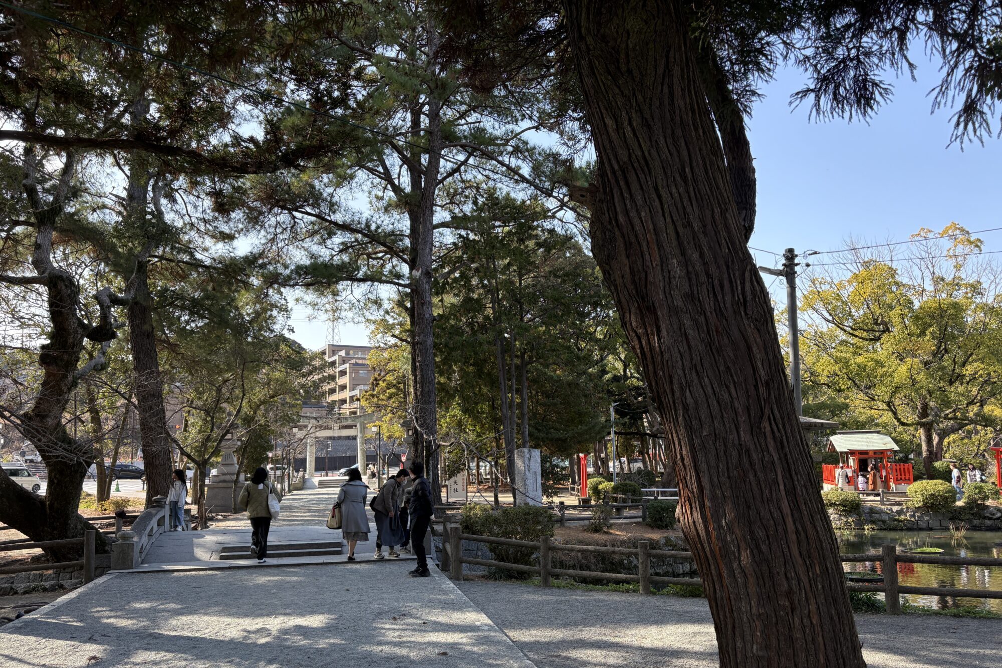 Kashii Shrine grounds